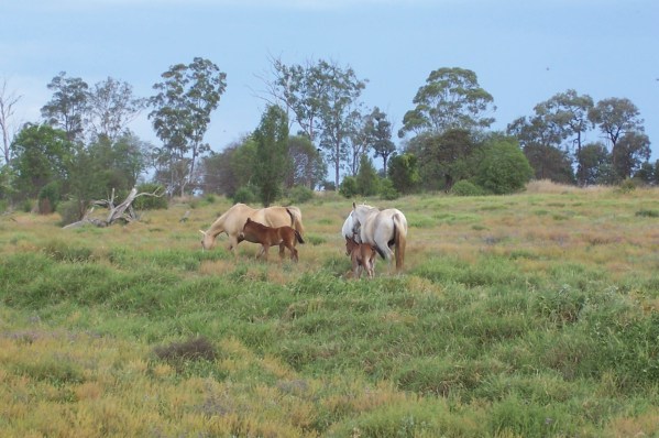 Close your eyes and feel it….