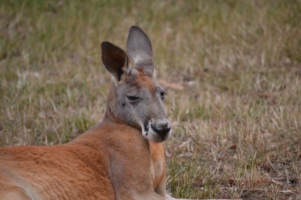 Peace and tranquility