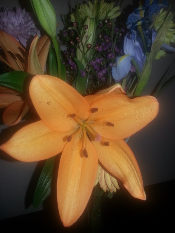 Individually unique…..