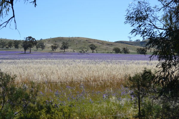 Depression.... Part II