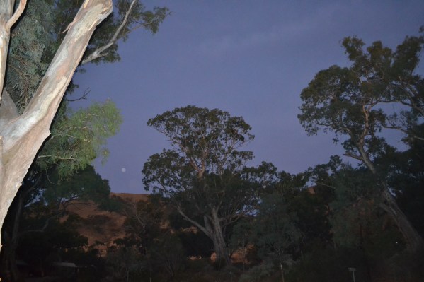 Spear Creek....  Solitude (!?!)  Part 2