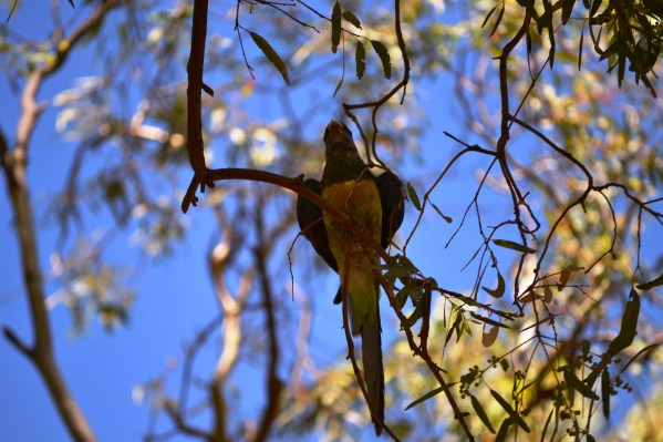 Spear Creek....Ahhhhh what a perfect place to write…. My place of Solitude.  Part 5