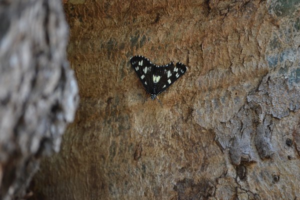 Camping in Nature…