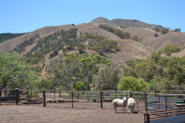 Spear Creek...On a more serious note.  Part 7