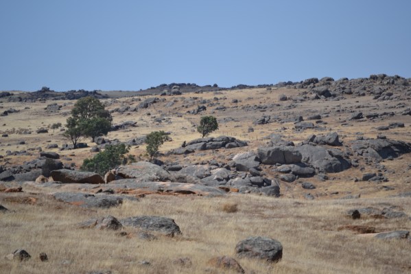 Fear ~ that 'other person' in your head