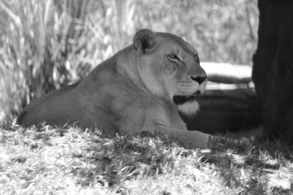 Let our paths entwine