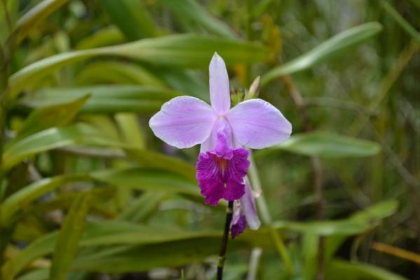 Fragile ~ Handle with Care