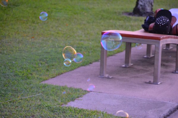 My Perception of Happiness