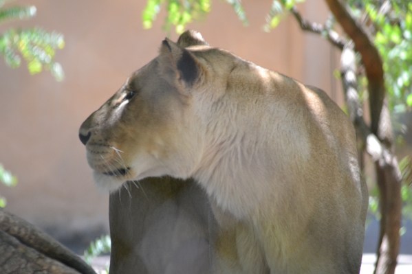 Perfect Fairytale…