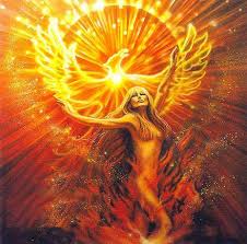 pheonix
